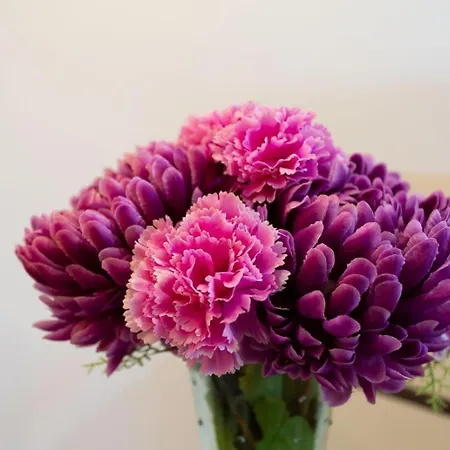 Ciudad Jardin Palmas Las Palmas de Gran Canaria